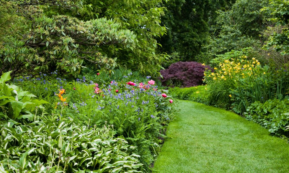 tuin tuin